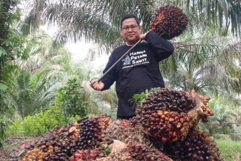  HORE! Harga TBS Kelapa Sawit Jambi Naik Drastis Jadi Rp3.643,58/Kilo, Ini Harga Baru TBS 6-12 Februari 2026